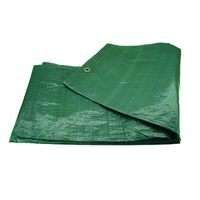 Gewebeplane mit Ösen 6x8 m