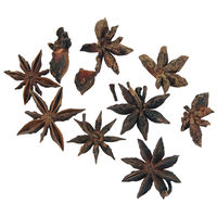 Sternanis