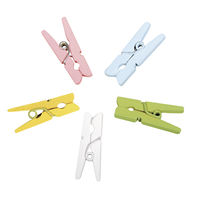 Klammern mini 2,5x,8cm