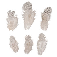 Deko-Feder Zebramuster 8-12cm 6St