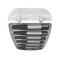 Schraubenausdrehersatz 1-5