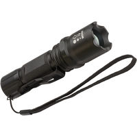 Taschenlampe LuxPremium 250F LED 250lm inkl. 3xAAA, CREE-LED, IP44