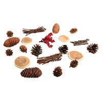Naturmix mit Zapfen