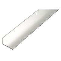 Winkelprofil Alu natur 35x65x2,5x1000 mm