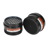 Ersatz-Kombifilter A2/P3 (2 Stk. SB)