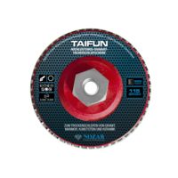 Dia-Fächerscheibe Taifun 115xM14 mm K200