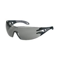 Schutzbrille pheos grau sv exc. sw/gr
