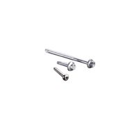 Edelstahlschrauben 4,8x32mm, TX-Antrieb
