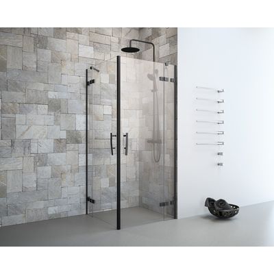 Prima EV+ Eckeinst.Tür+FT,4-tlg. 100x90 Black, FT=Festteil, ST=Seitenteil,H200cm