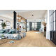 Prima Laminat Tosca Oak latte 1288 x 328 x 8 mm 2V-Fuge NKL 23/32