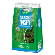 Prima Nachsaatrasen 250g für 12m²