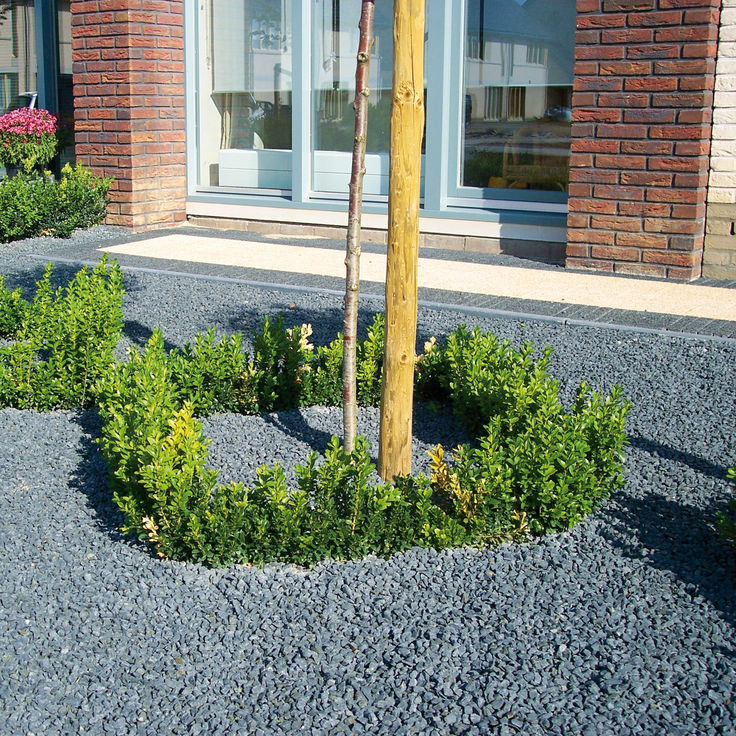 Zierkreis um Baum