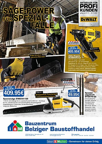 Titelseite: Dewalt – Profiangebote im November