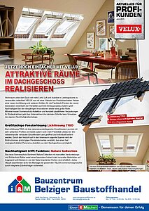 Titelseite: Velux – Profiangebote im Juni